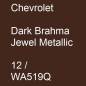 Preview: Chevrolet, Dark Brahma Jewel Metallic, 12 / WA519Q.